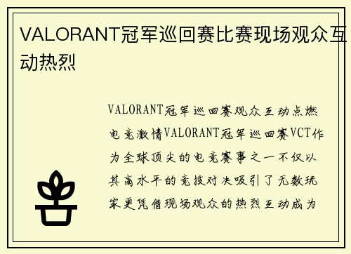 VALORANT冠军巡回赛比赛现场观众互动热烈