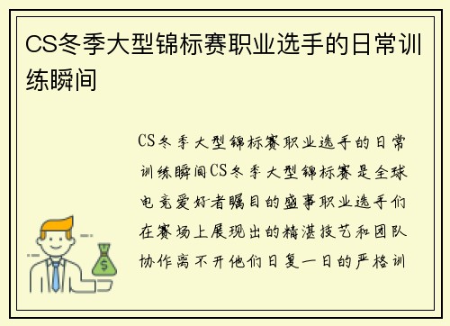 CS冬季大型锦标赛职业选手的日常训练瞬间