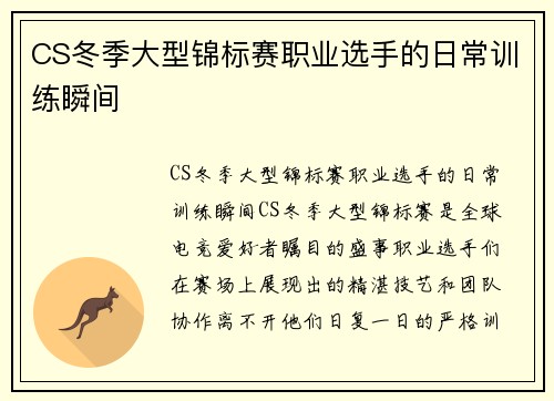 CS冬季大型锦标赛职业选手的日常训练瞬间